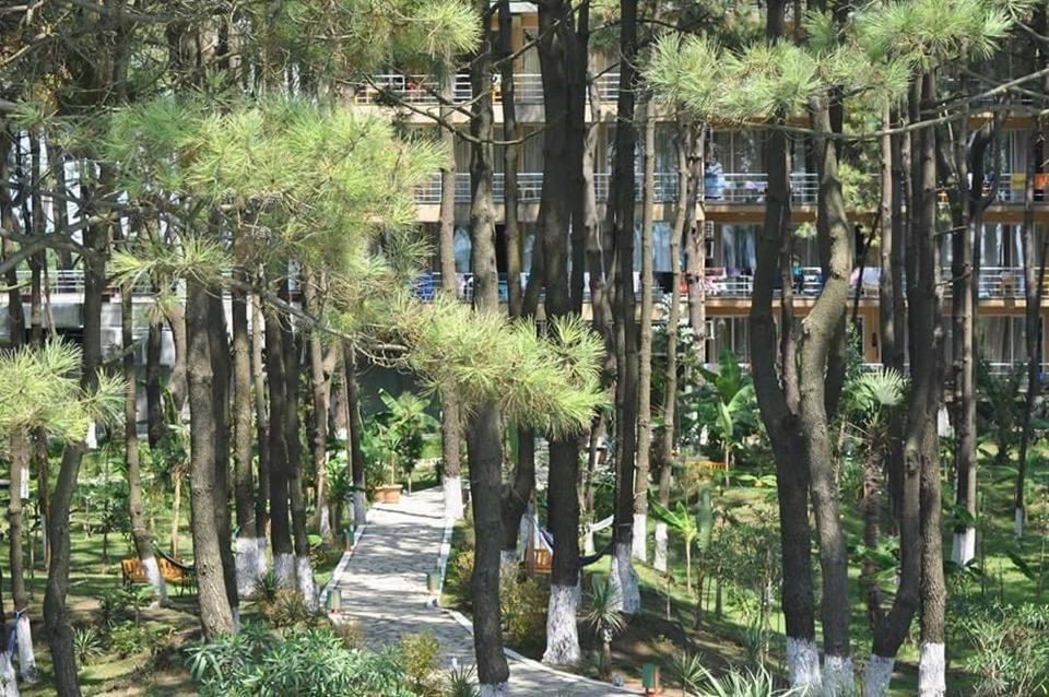 Andamati Beach Resort Grigoleti Zewnętrze zdjęcie